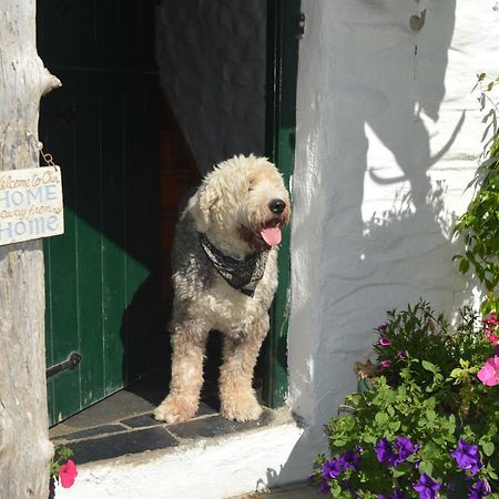 Lissyclearig Thatched Cottage Kenmare Extérieur photo