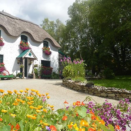 Lissyclearig Thatched Cottage Kenmare Extérieur photo