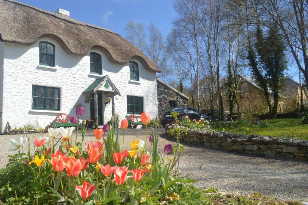 Lissyclearig Thatched Cottage Kenmare Extérieur photo