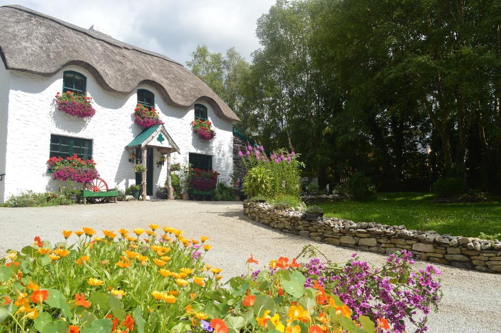 Lissyclearig Thatched Cottage Kenmare Extérieur photo